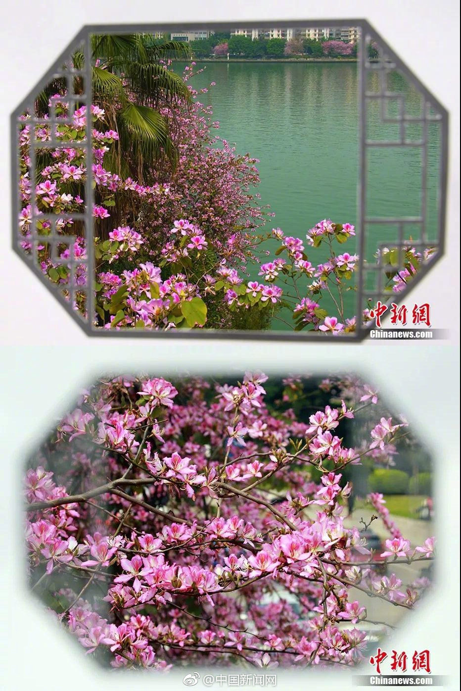[AG平台大厅]