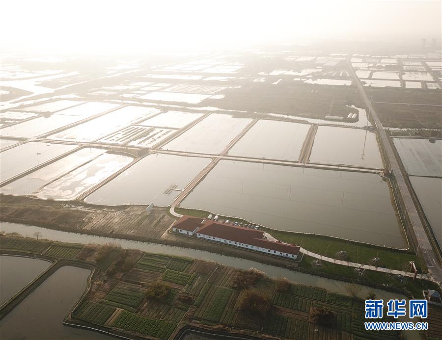 FIFA23球员特性防守核心有什么用