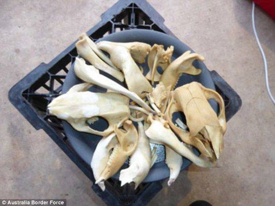 绿色地狱汤料有什么种类