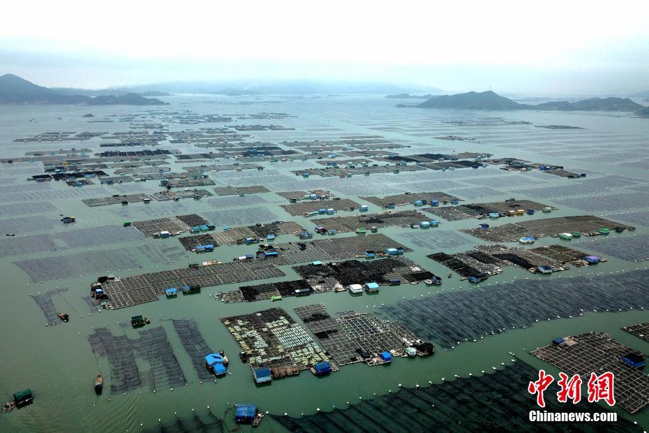 黄昏降临时暗箭难防成就怎么解锁